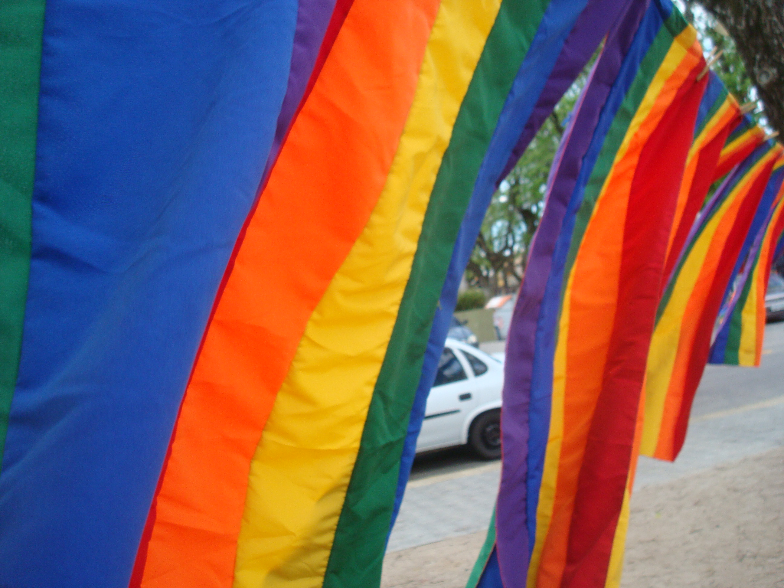 UNIÃO HOMOAFETIVA ESTÁVEL: UM BRASIL MAIS LIVRE